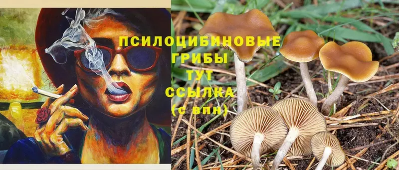 Галлюциногенные грибы GOLDEN TEACHER  где продают   Морозовск 